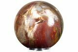 Colorful Petrified Wood (Araucaria) Sphere - Madagascar #229829-1